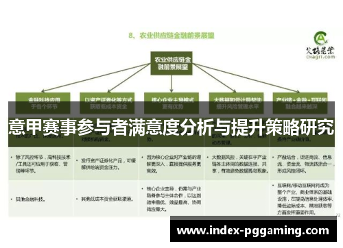 意甲赛事参与者满意度分析与提升策略研究