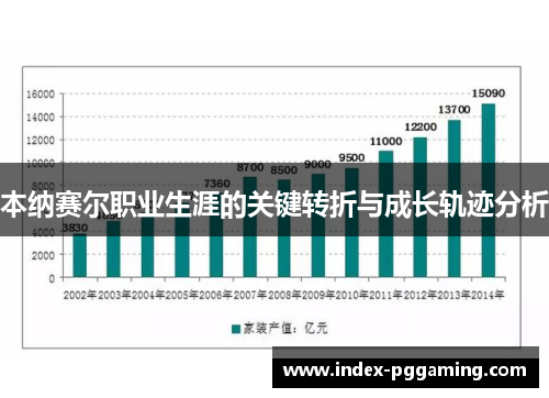 本纳赛尔职业生涯的关键转折与成长轨迹分析