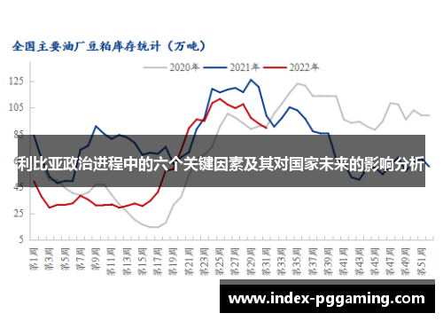利比亚政治进程中的六个关键因素及其对国家未来的影响分析