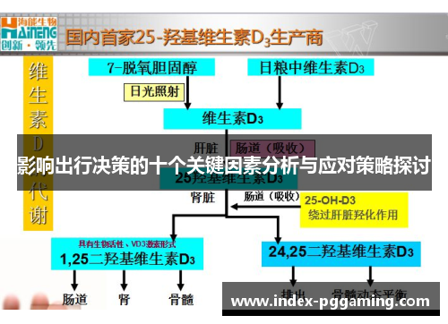 影响出行决策的十个关键因素分析与应对策略探讨