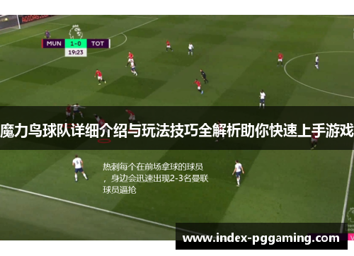魔力鸟球队详细介绍与玩法技巧全解析助你快速上手游戏