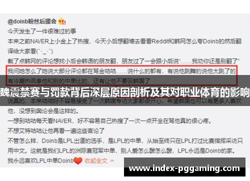 魏震禁赛与罚款背后深层原因剖析及其对职业体育的影响