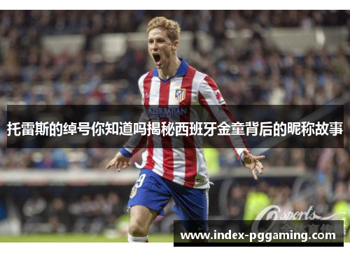 托雷斯的绰号你知道吗揭秘西班牙金童背后的昵称故事