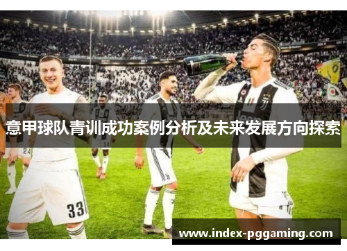 意甲球队青训成功案例分析及未来发展方向探索