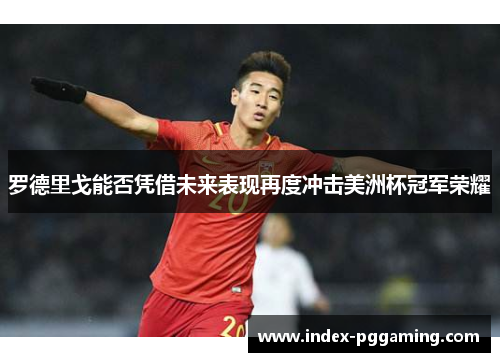 罗德里戈能否凭借未来表现再度冲击美洲杯冠军荣耀