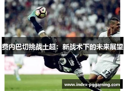 费内巴切挑战土超：新战术下的未来展望