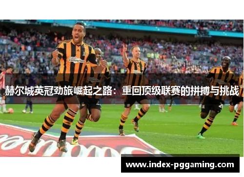 赫尔城英冠劲旅崛起之路：重回顶级联赛的拼搏与挑战